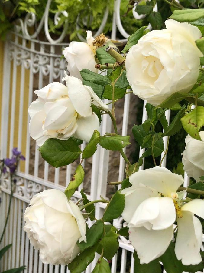 Вилла L'Ile Aux Fleurs Ventabren Экстерьер фото